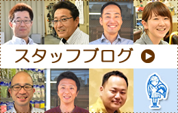 スタッフブログ